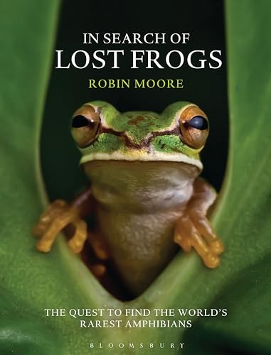 Search lost frogs - search,